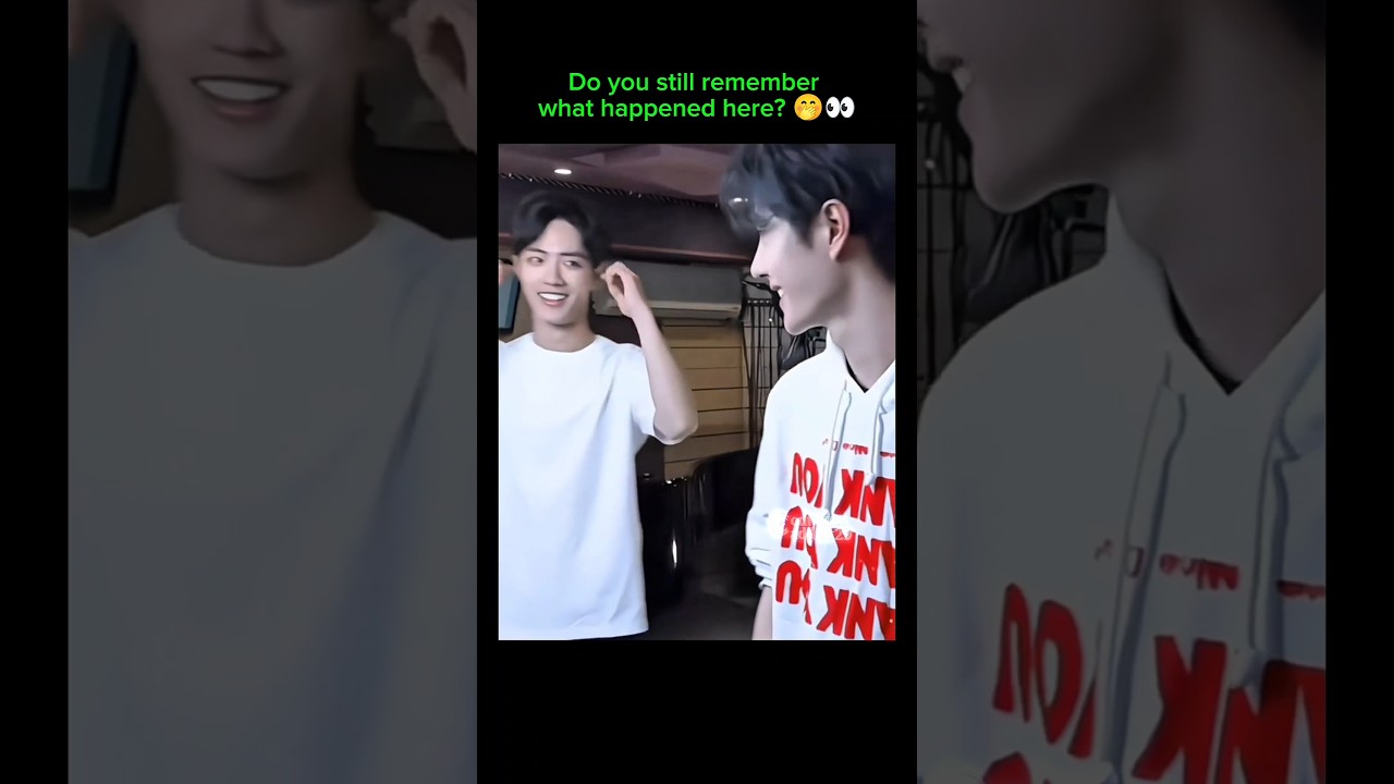 Do you still remember this? 🤭👀 #yizhan #theuntamed #wangyibo #xiaozhan #bjyx #bjyxszd #blseries #bl