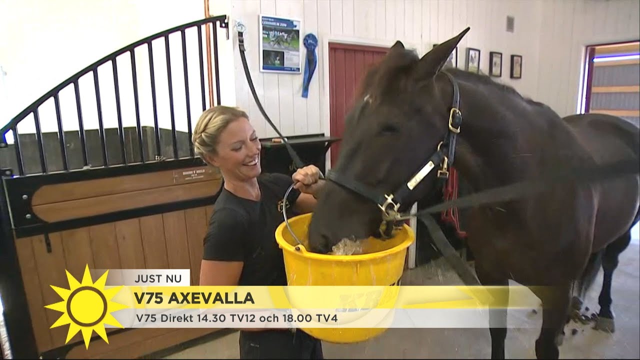 Per Skoglund är på plats inför Axevallatravet - Nyhetsmorgon (TV4)