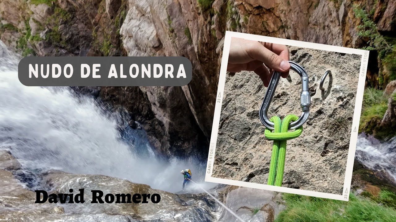 Como hacer el nudo de alondra y sus cualidades