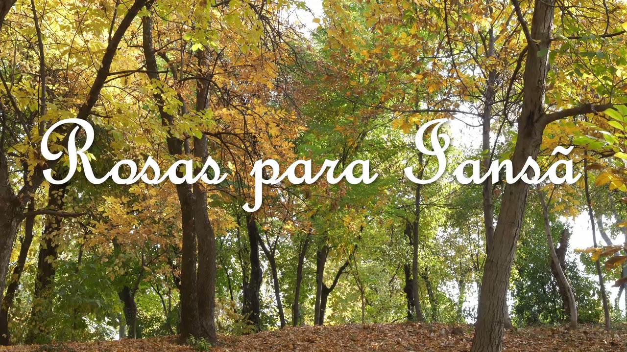 Rosas para Iansã - Pontos de Umbanda