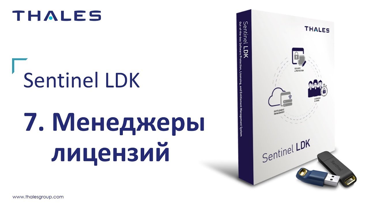 Руководство Sentinel LDK: 7. Менеджеры лицензий