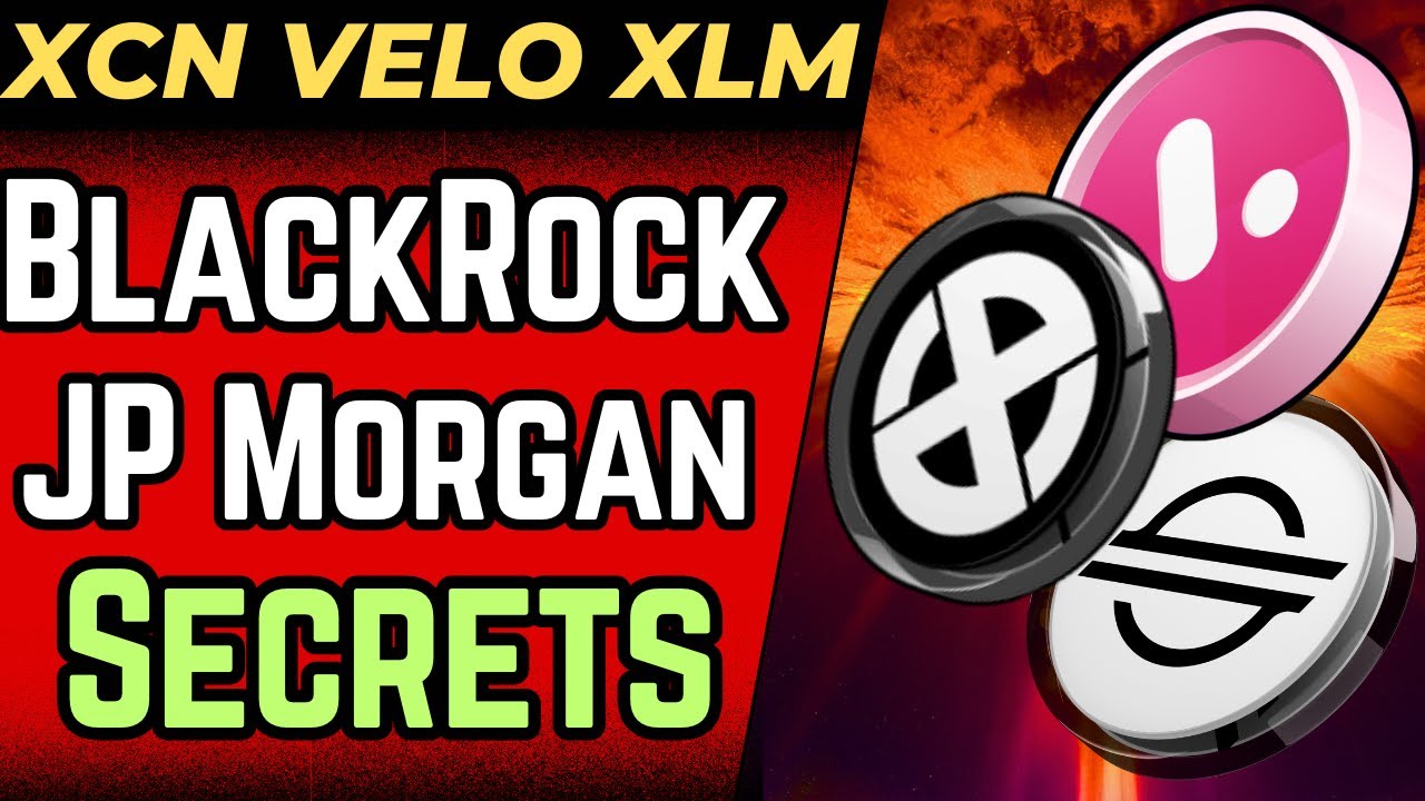 XCN: STELLAR and VELO SECRET PLANS (CHAIN/ONYX) | XRP