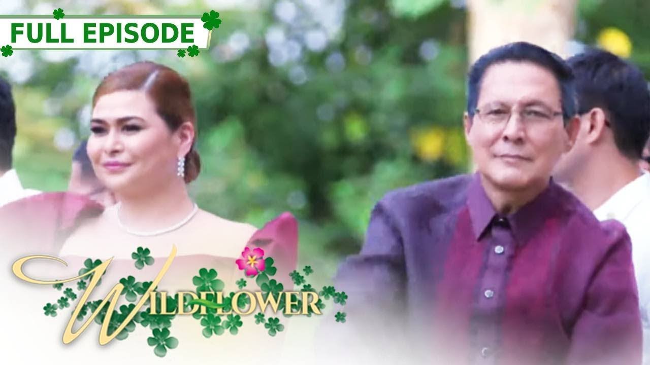 Full Episode 166 | Wildflower with ENG SUB | Maja Salvador, Joseph Marco, RK Bagatsing