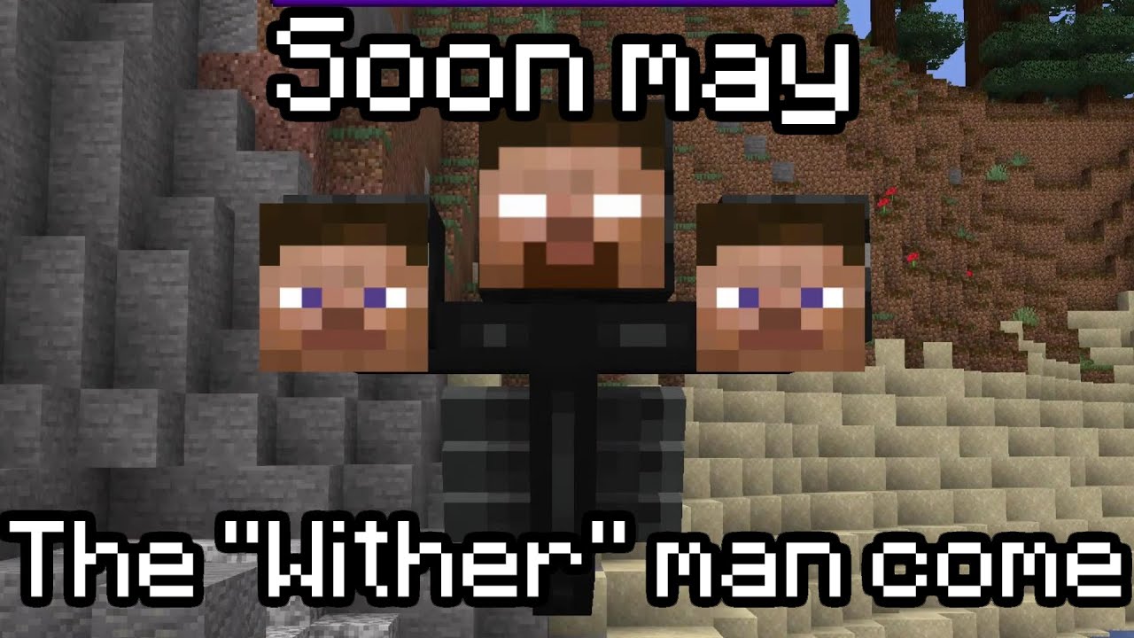 Wellerman but every line of the song is a Minecraft item