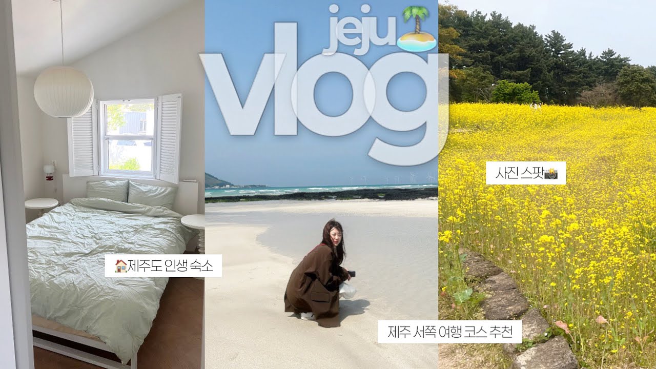 [vlog] 제주도 서쪽 여행 븨로그 | 제주도 인생 숙소 추천🏡 | 제주 도민 맛집 (보말죽, 갈치조림) | 금오름, 새별프렌즈, 항몽유적지 사진스팟🤳