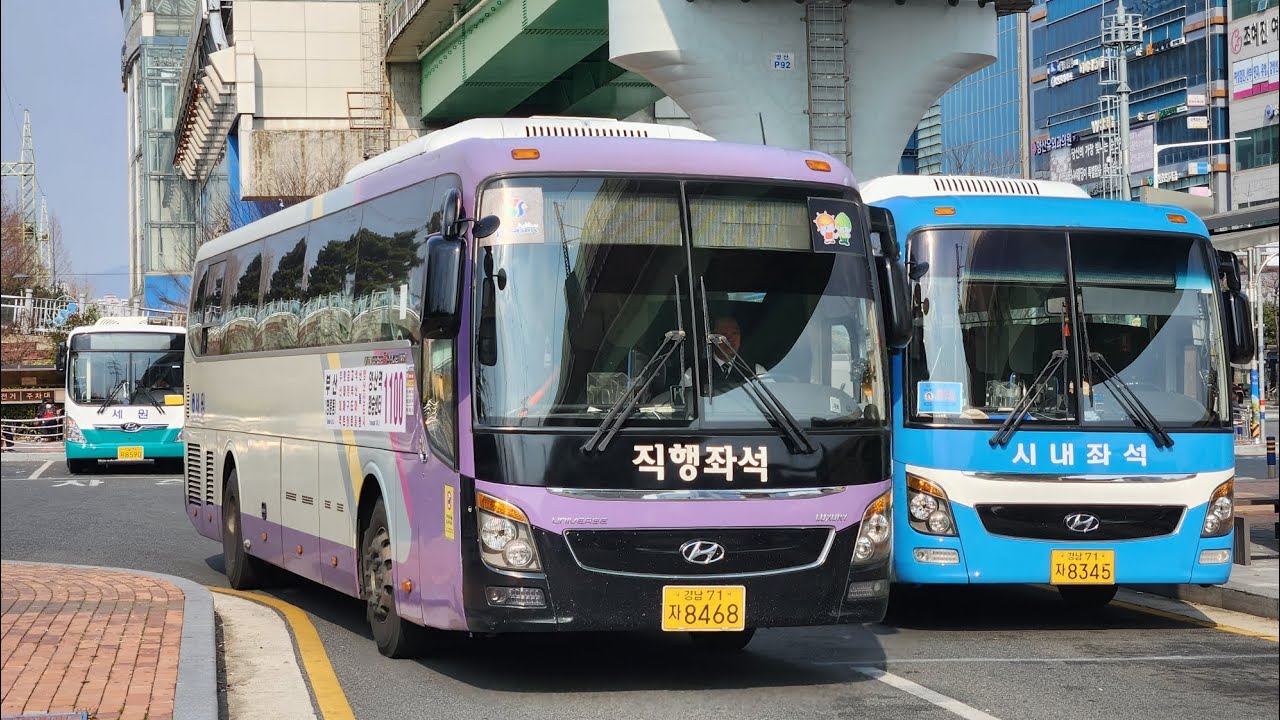 양산버스사진모음집1