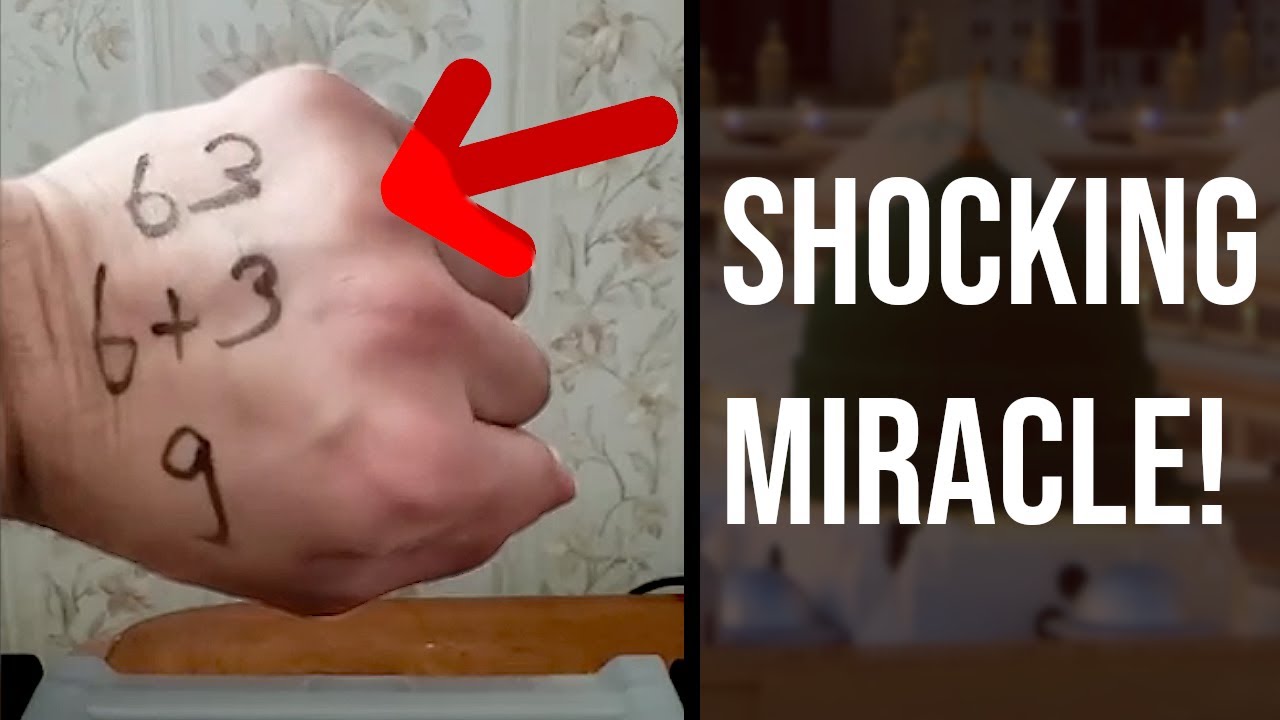 НАСТОЯЩЕЕ чудо (заставило меня принять ислам) #шорты