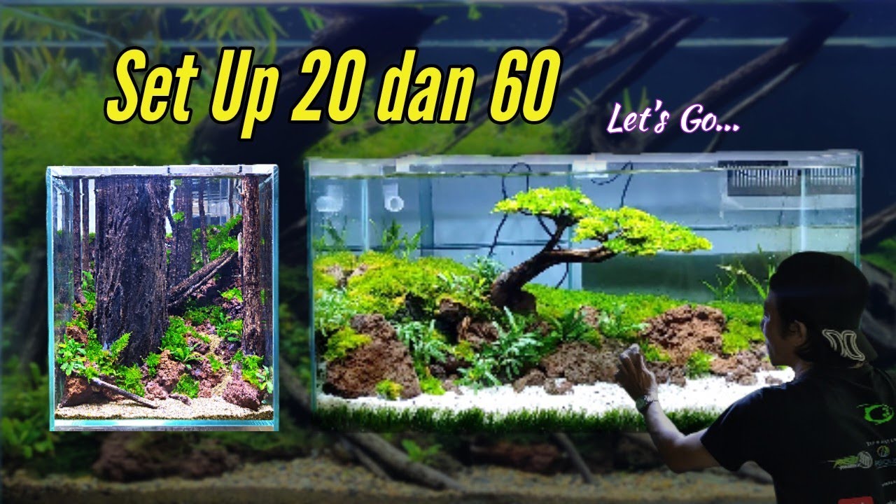 Hutan Dan Bonsai | Membuat Aquascape | Tutorial | Aqua One Design