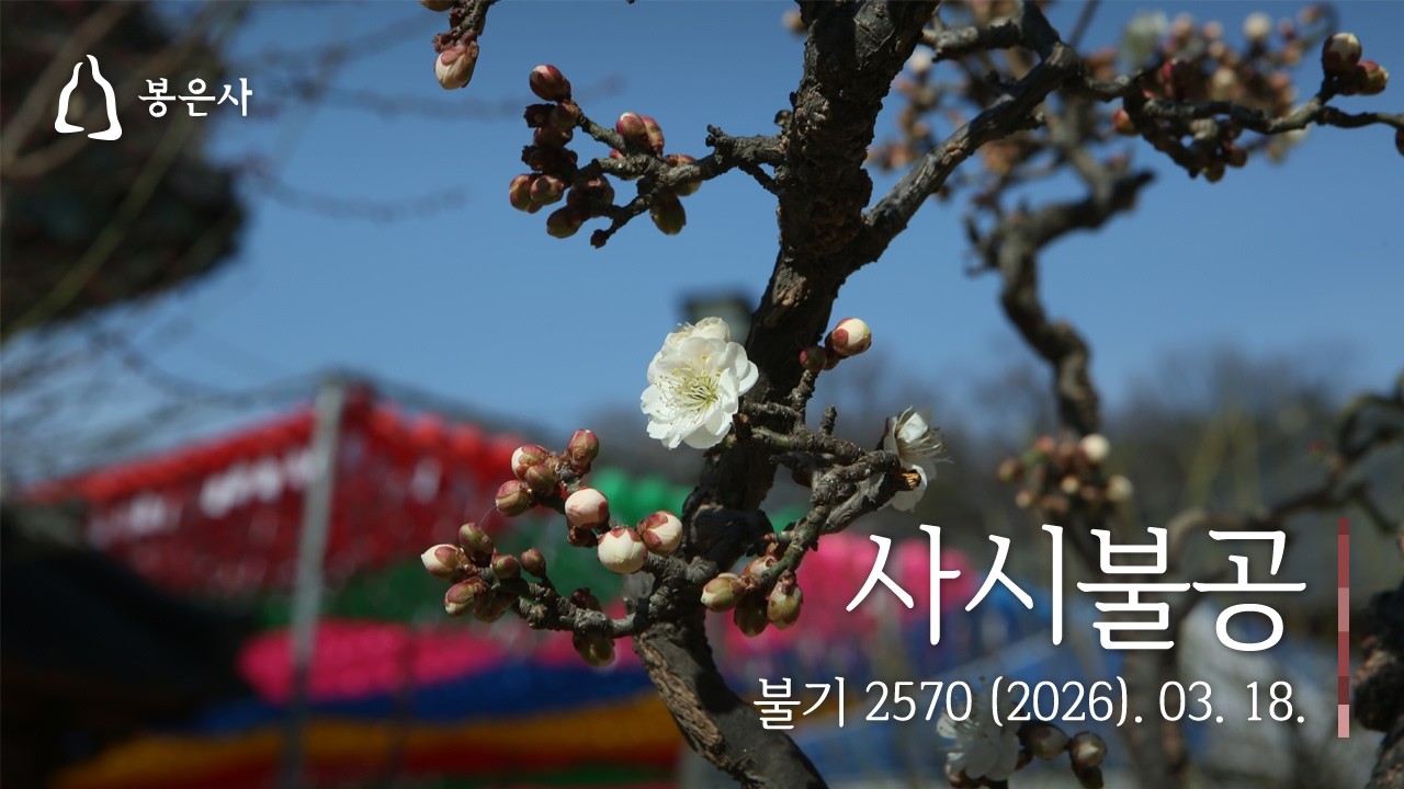 봉은사 사시불공 (2026.03.18.)