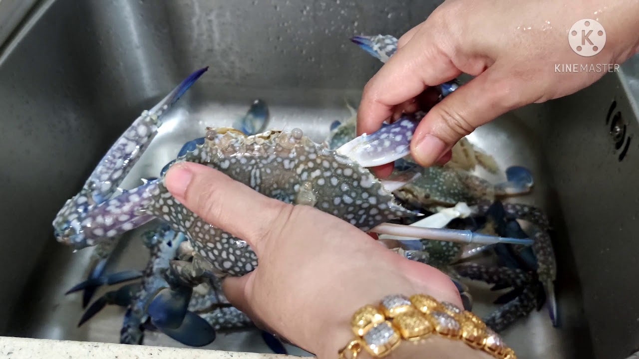 bukan susah pon cuci Ketam!! kena Cuba..🦀 how to clean the crab
