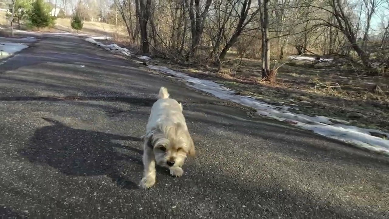 A 2 Beer Walk in The Park Ep. 268