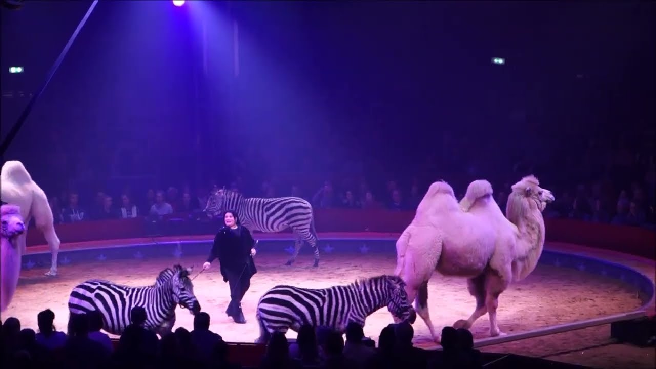 Wintercircus Stuttgart 2016/17