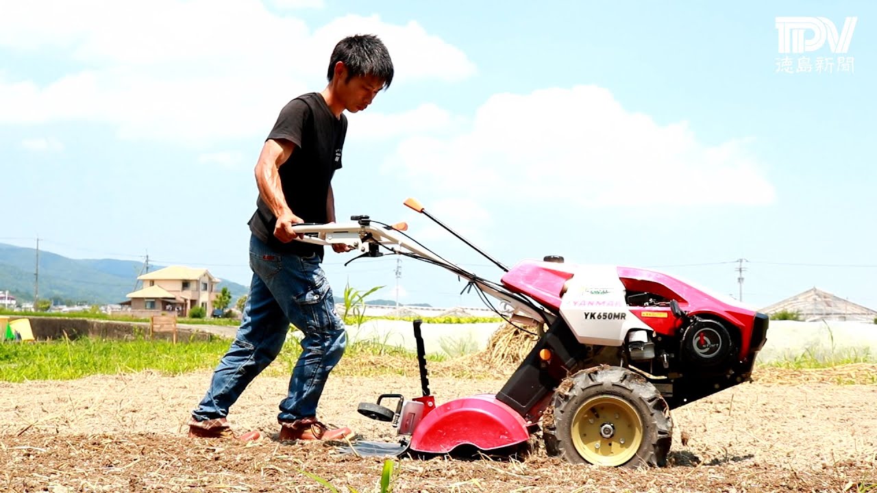 「人生最後の挑戦です」元カーショップオーナーが西洋野菜農家に転身