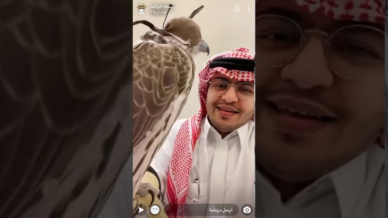 صقر اسامه الراشد 😂