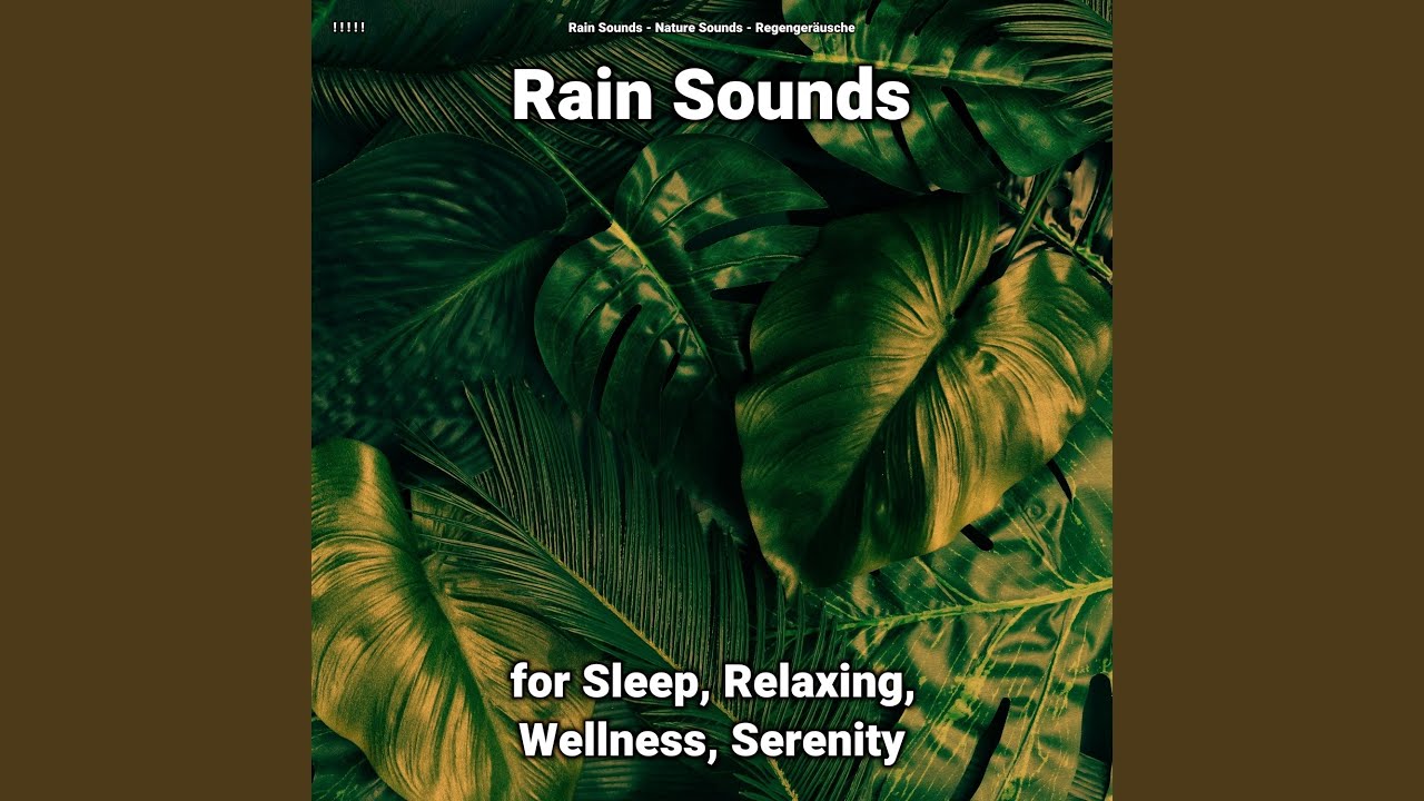 Rain to Study To