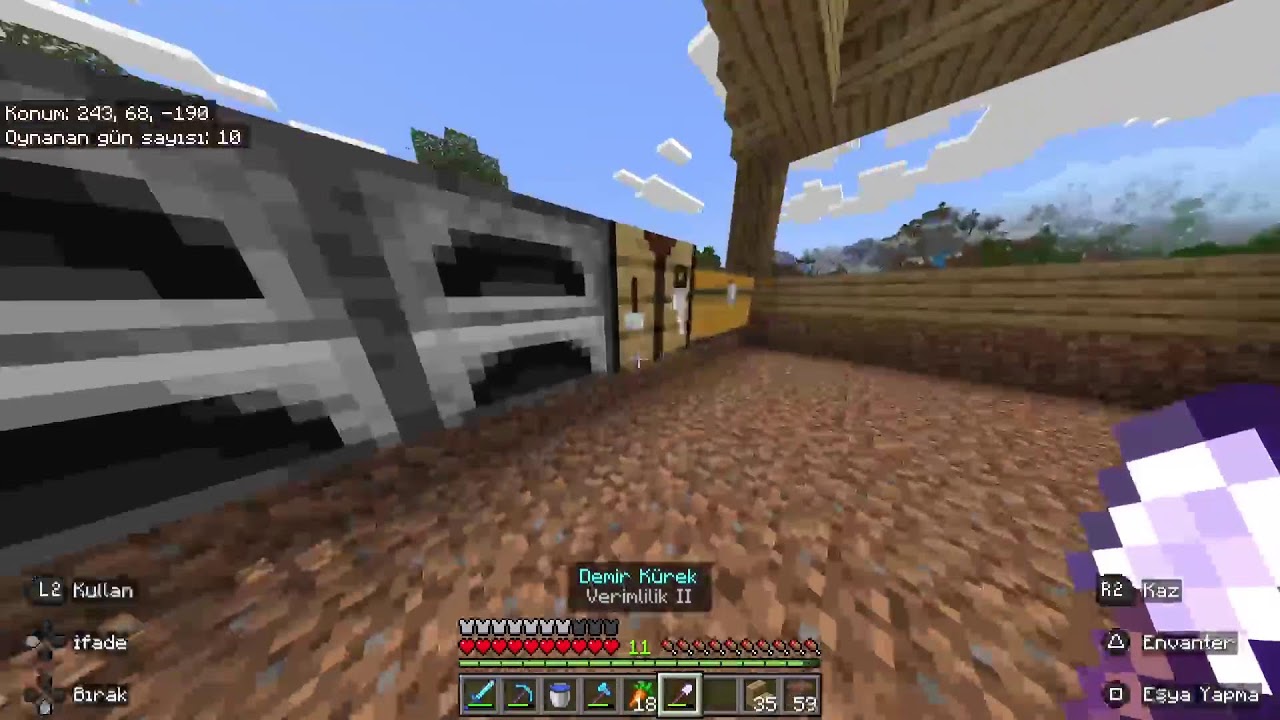 Minecraft (PLAYSTATION 5)