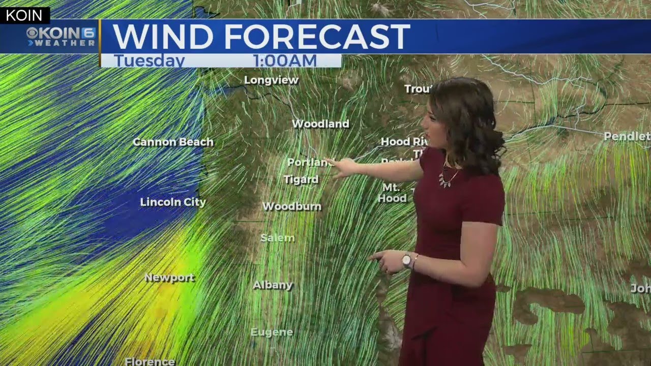Monday 5 AM Weather Update February 11th, 2019