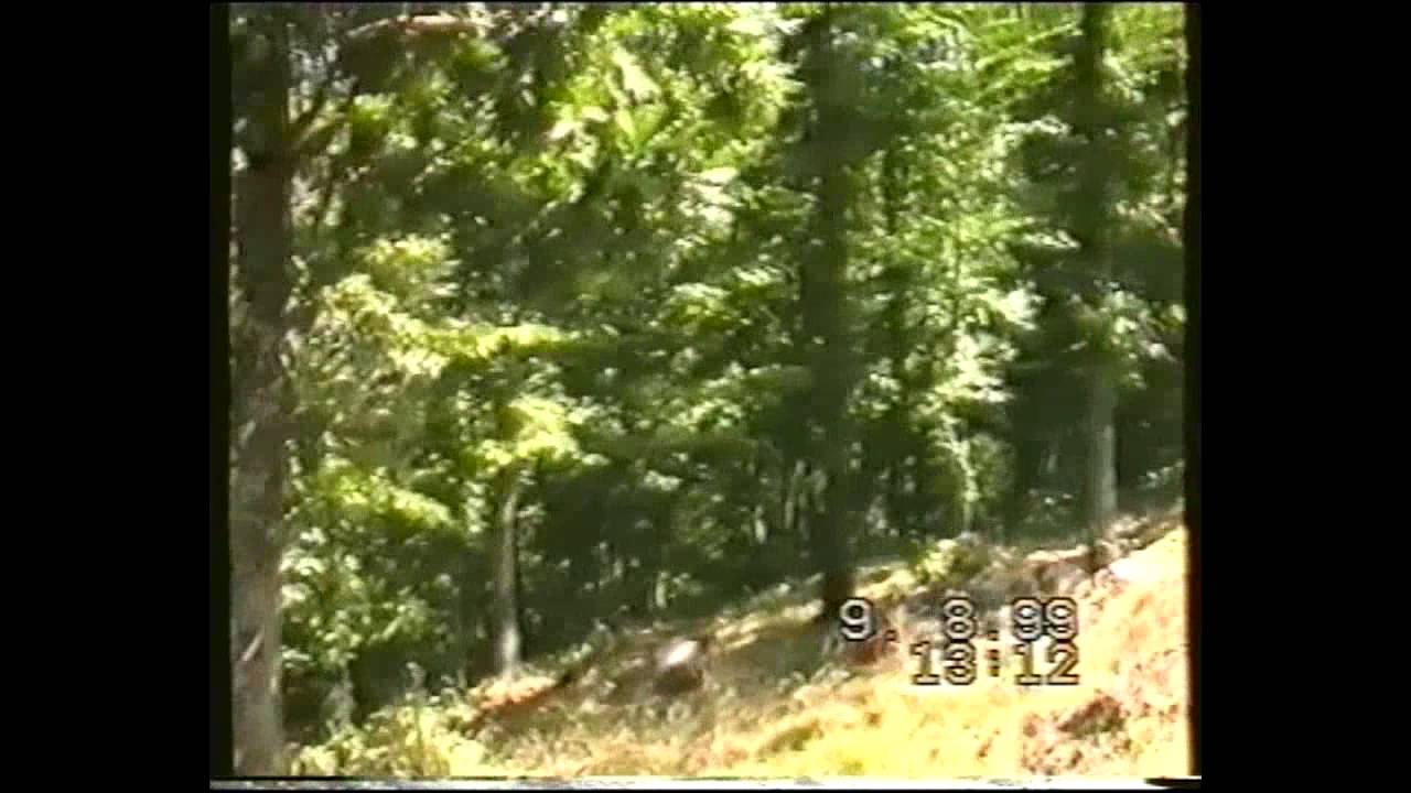 Budakovë - 08/1999