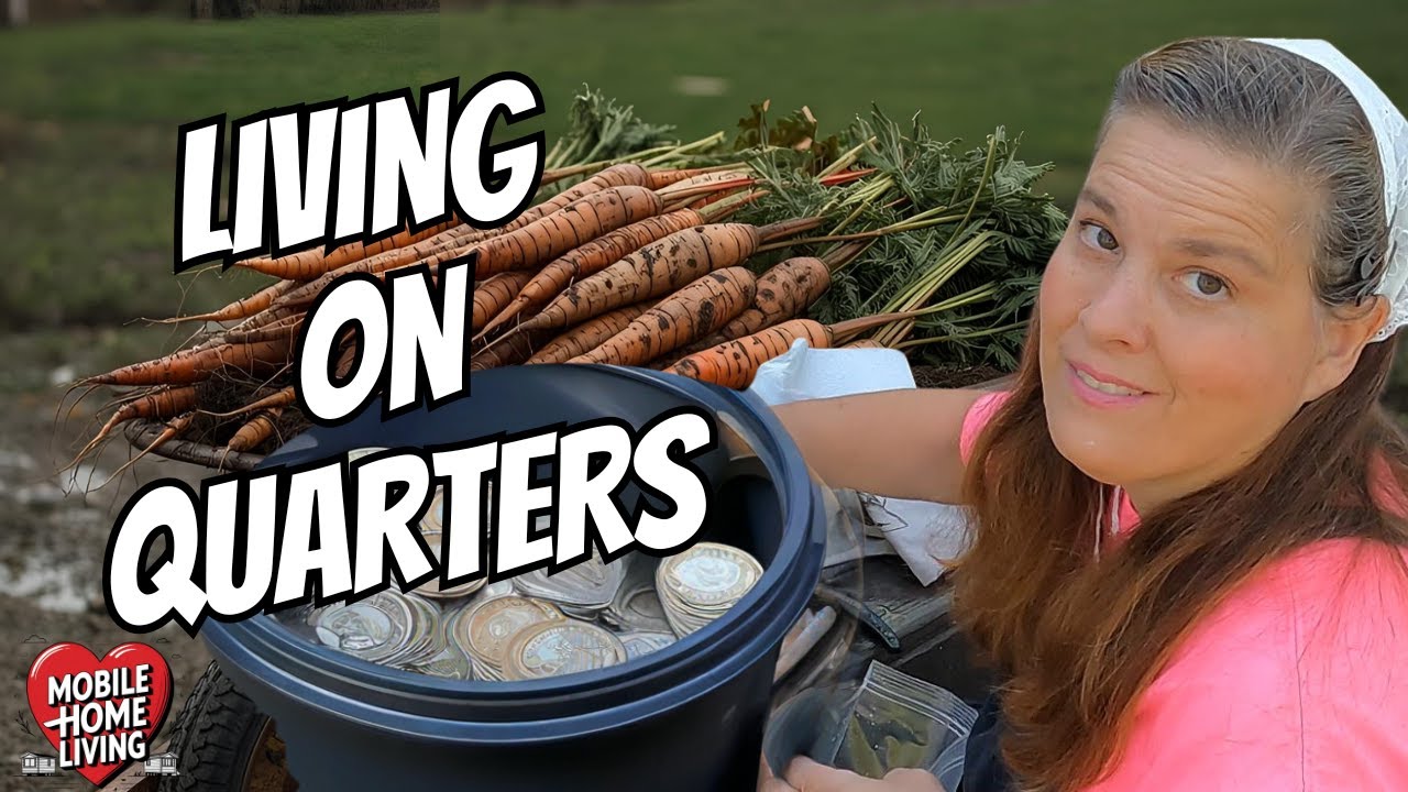 Living on 25 Cents in a Mobile Home:  Extreme Budget Living