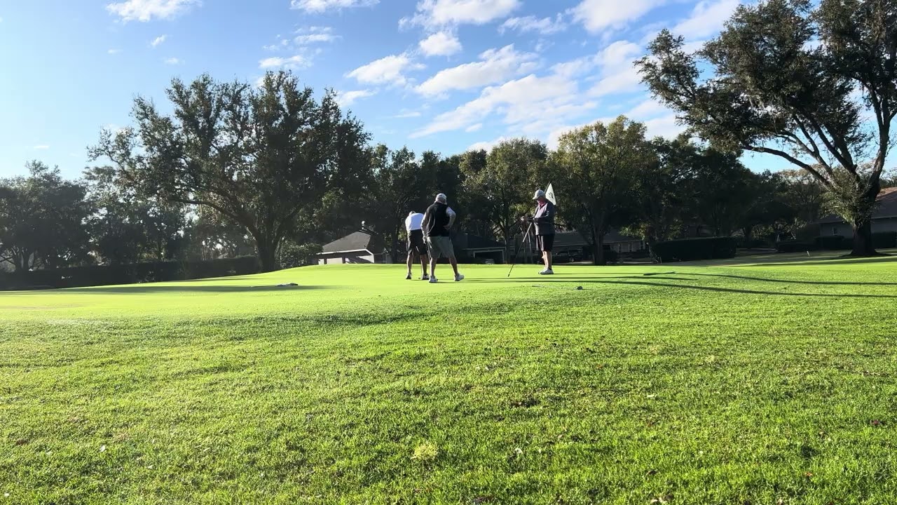 Chip and putt for par on 3