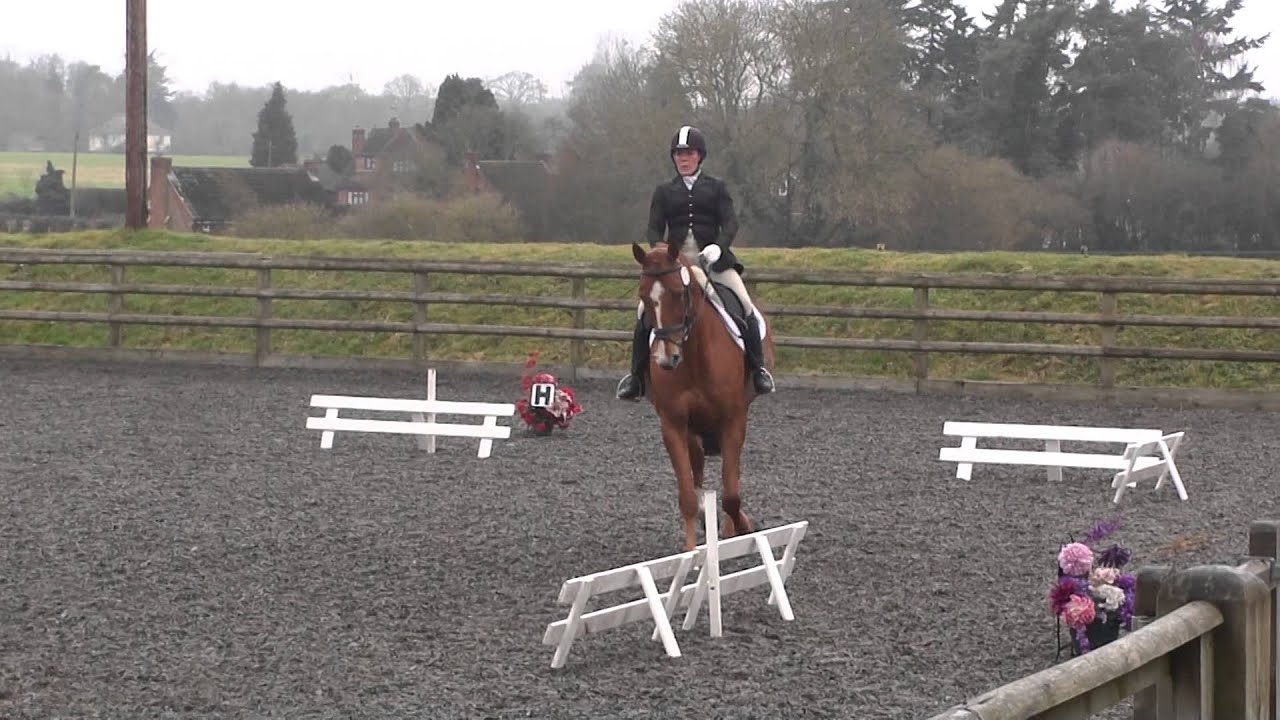 British Dressage Novice 24 - Natalie and Faust 16Feb15 69.2%