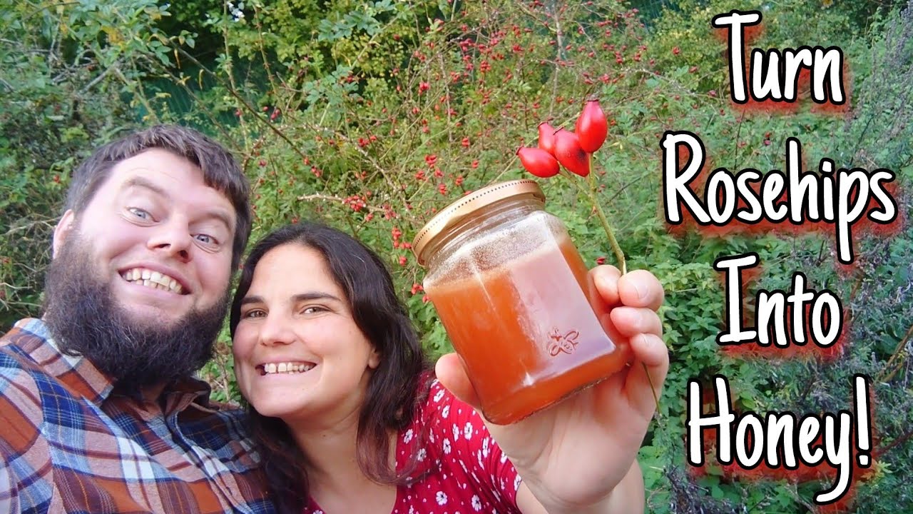 Как превратить плоды шиповника в мед. Простой рецепт приготовления 🍯