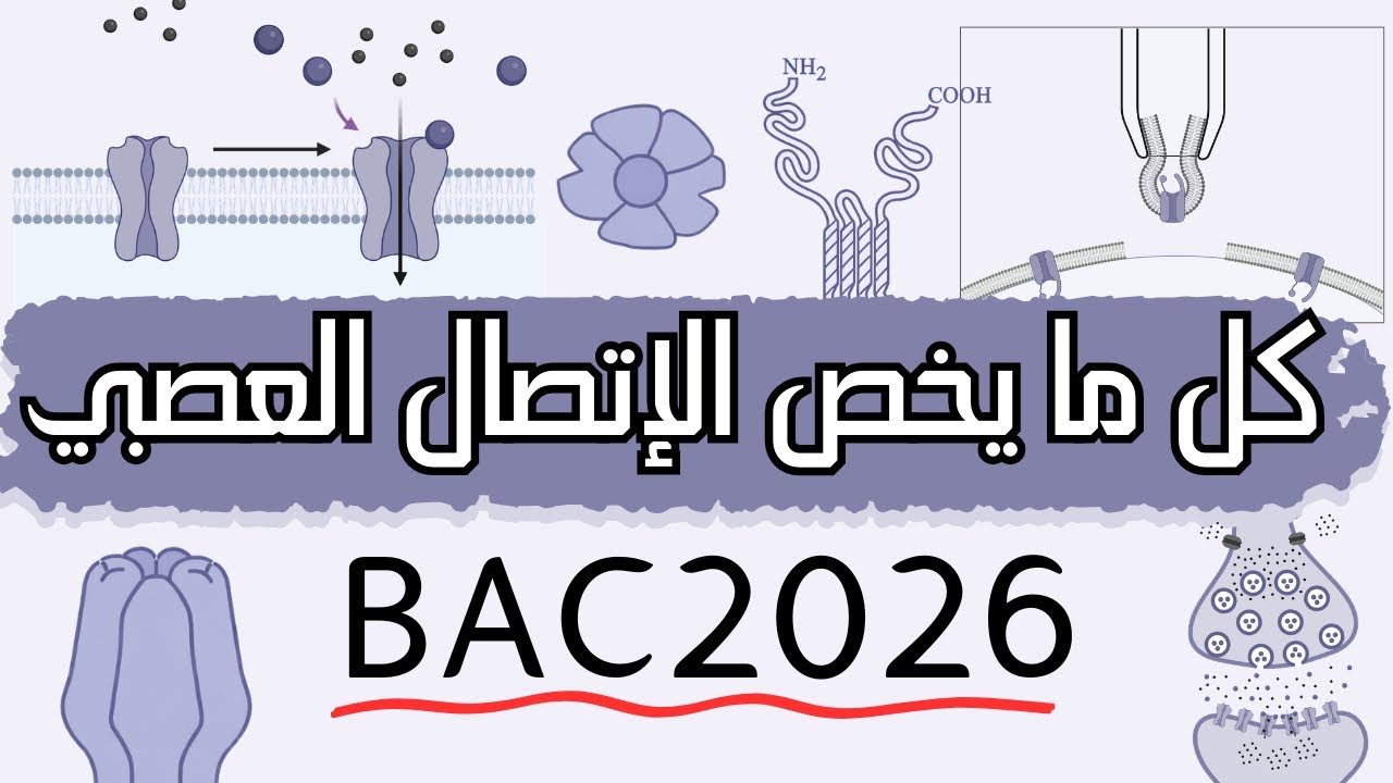 الإتصال العصبي 3 ثانوي | من الألف إلى الياء|الوحدة الخامسة bac2026👌😎