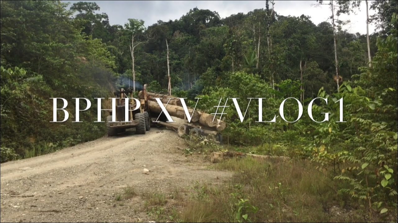 Kegiatan di IUPHHK PT. Salaki Mandiri Sejahtera Kabupaten Sarmi Provinsi Papua