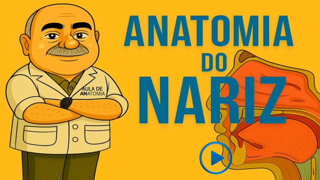NARIZ CONSIDERAÇÕES INICIAS #anatomia #medico #medicina #odontologia #otorrino #fisioterapia