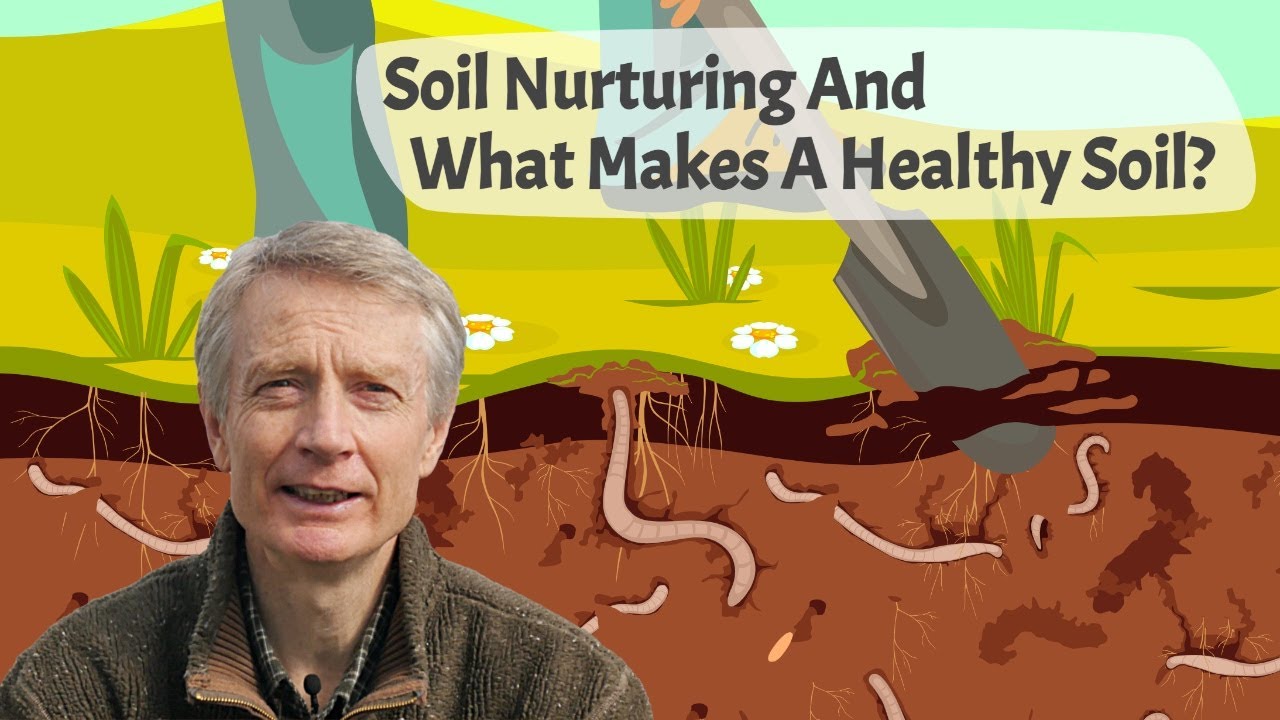 Soil Nurturing And What Makes A Healthy Soil For Growing Fruit, Vegetables, And Herbs