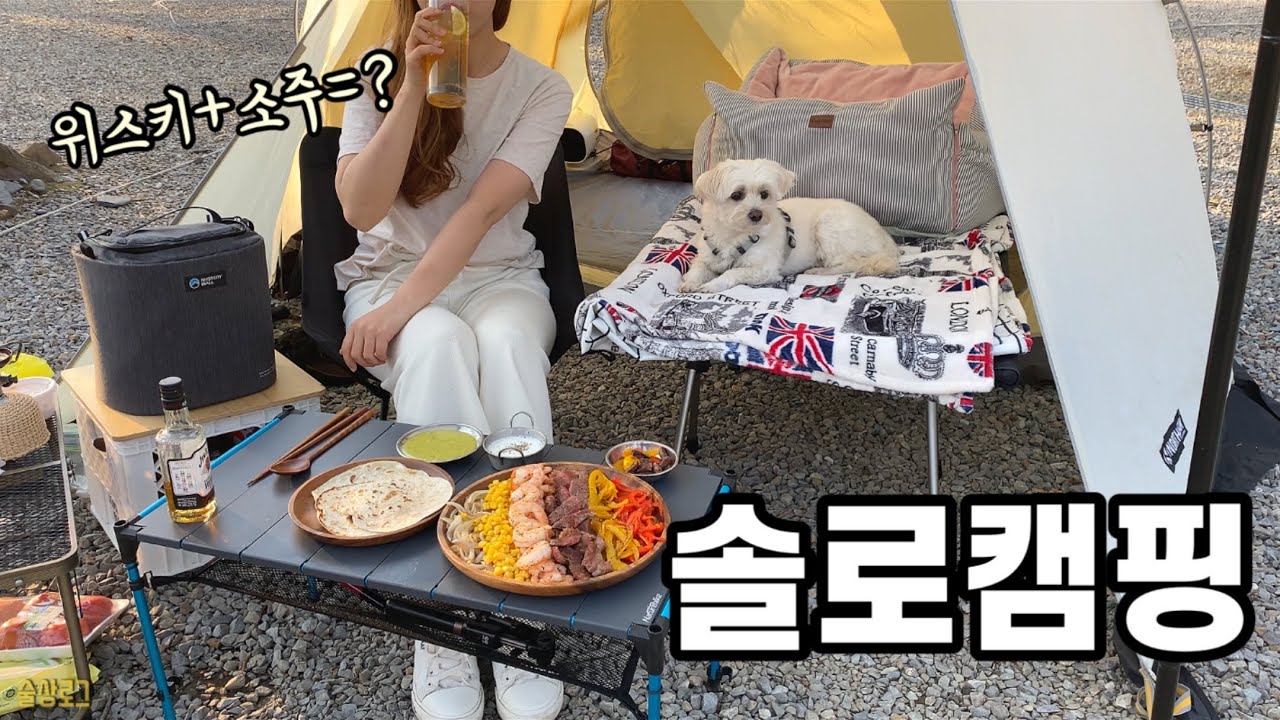 [술상로그] 혼자서도 잘 차려먹는 솔로캠핑! 파히타에 짐빔하이볼&소토닉 혼술(딸꾹) 물놀이하기 좋은 청주 금관숲 캠핑장에서 애견동반 캠핑 | Solo camping vlog