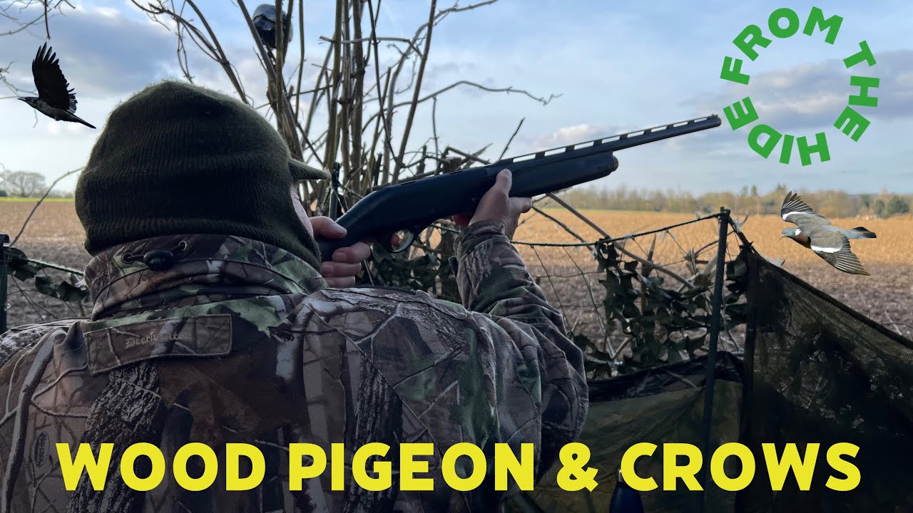 SHOOTING WOOD PIGEON & CROWS - FROM THE HIDE - EPISODE 13
