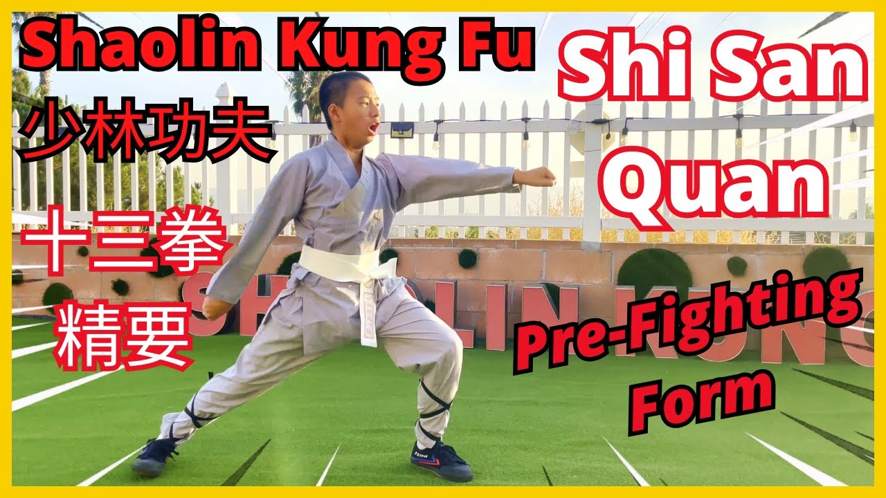 🔥 十三拳 精要 &middot; Shi San Quan (Form 2) Demonstration 👊 Shaolin Kung Fu Pre-Fighting #少林功夫 #十三拳 #功夫教學 示範 🤜