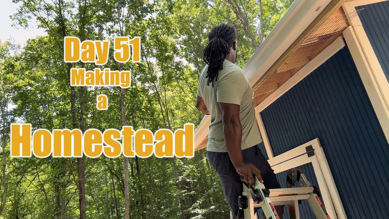 We Built a DIY Rain Catchment System for FREE Water!”