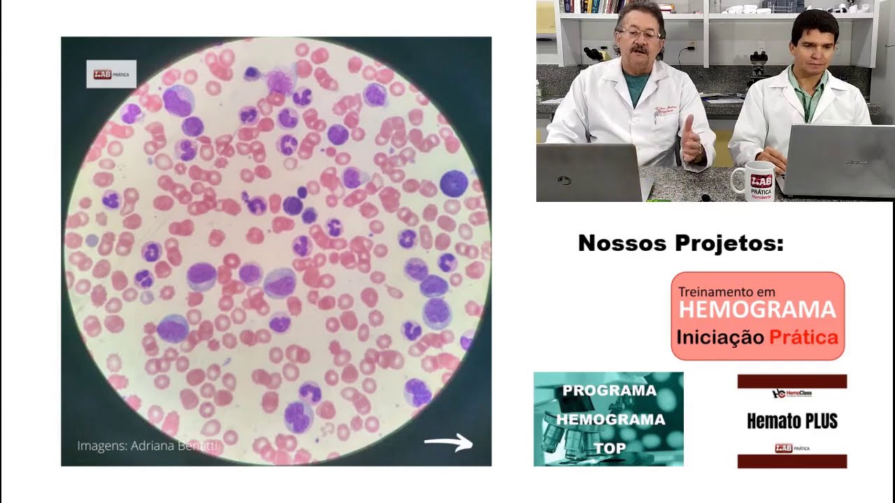 Vamos LAB Praticar?