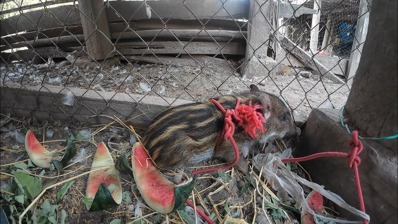 25 กุมภาพันธ์ ค.ศ. 2026