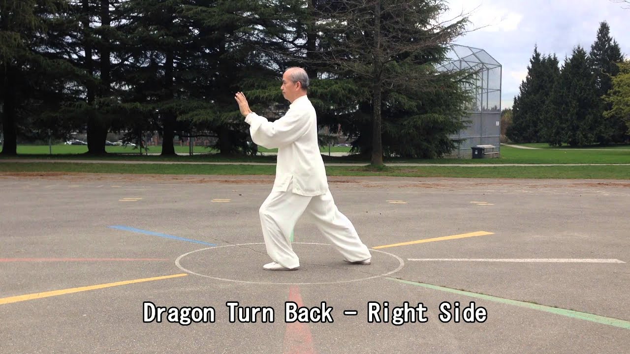 13 Form Tai Chi (Front View) (2015.03.27)