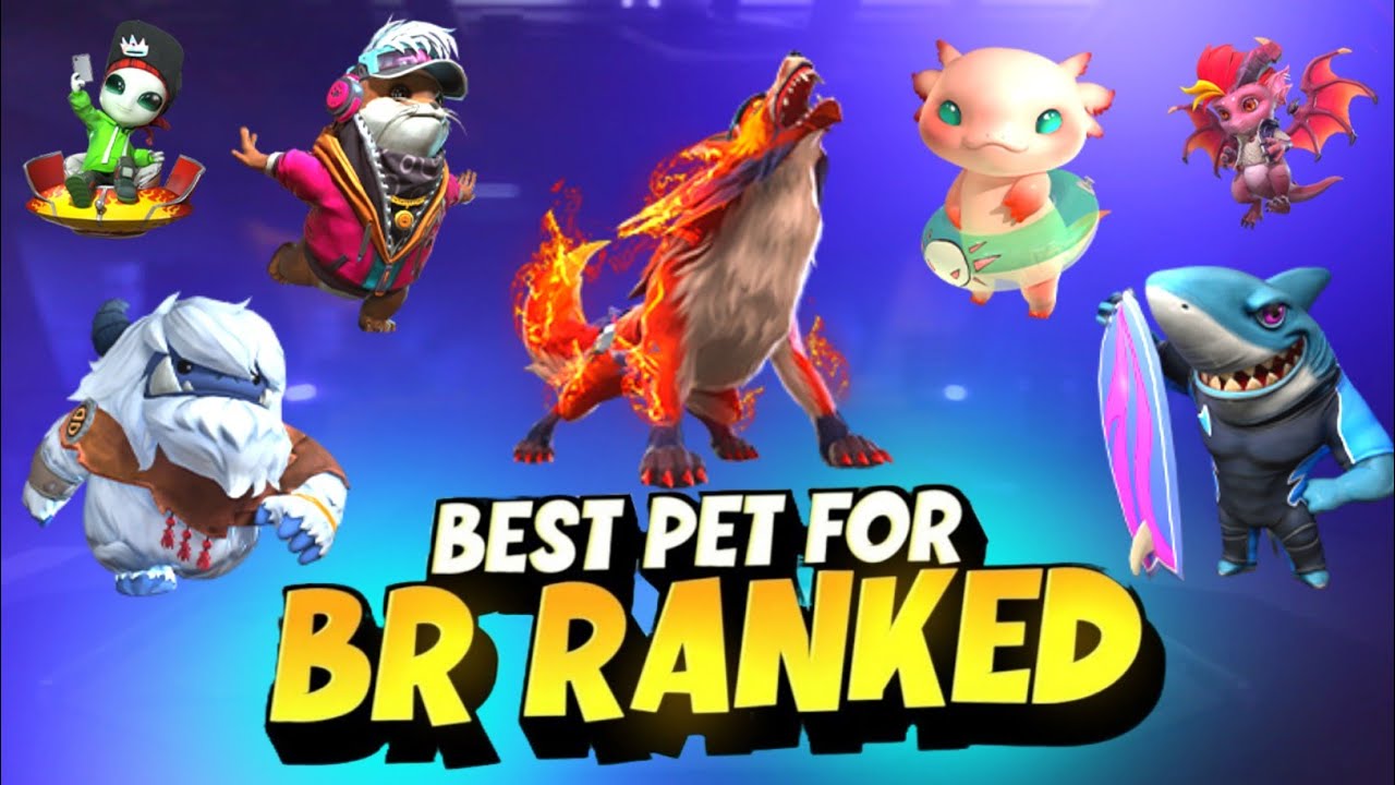 Top 5 Useful Pet For Br Ranked 🔥 | Best Pet In Free Fire