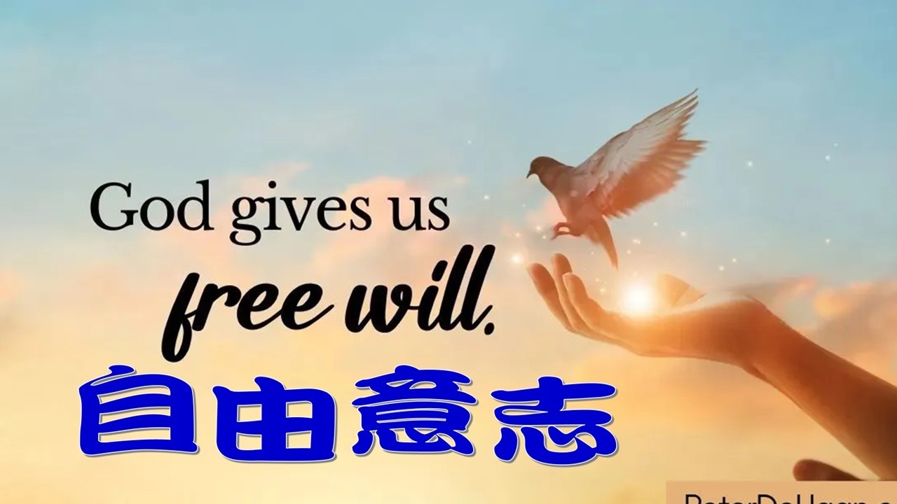 自由意志 Free will 基督教美國華人復興教會 02152026 Sunday sermon