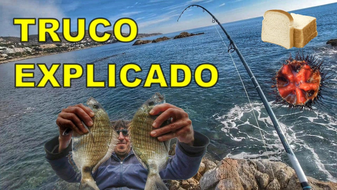 Tutorial. Si pescas con este truco siempre conseguirás capturas.