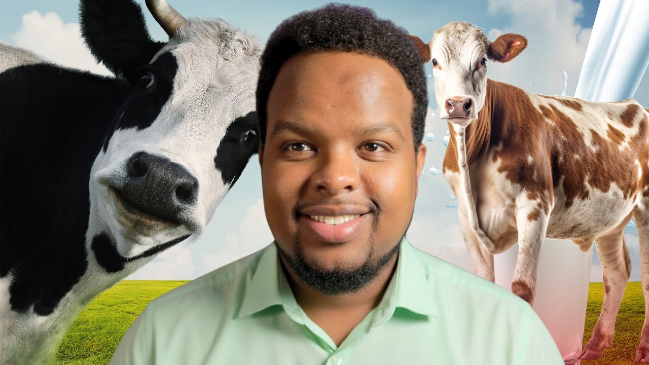 MASHRUUCA UGU DHAQAALAHA FIICAN CAANAHA LO’DA IYO SIDA LAGU BILAABI KARO 🐄 
