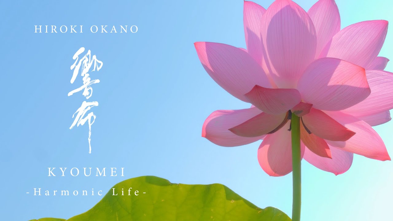 Hiroki Okano - Harmonic Life（響命）