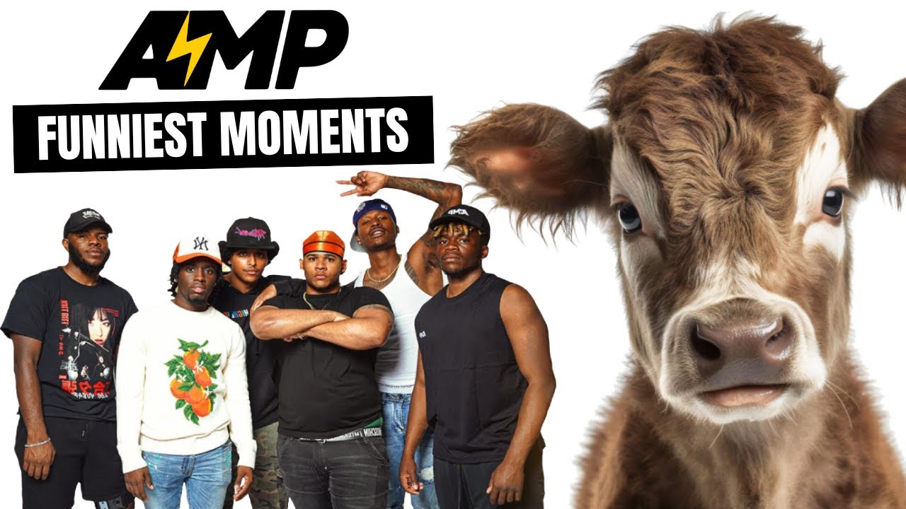 ЛУЧШЕЕ ИЗ AMP (ЗАБАВНЫЕ МОМЕНТЫ) 😭