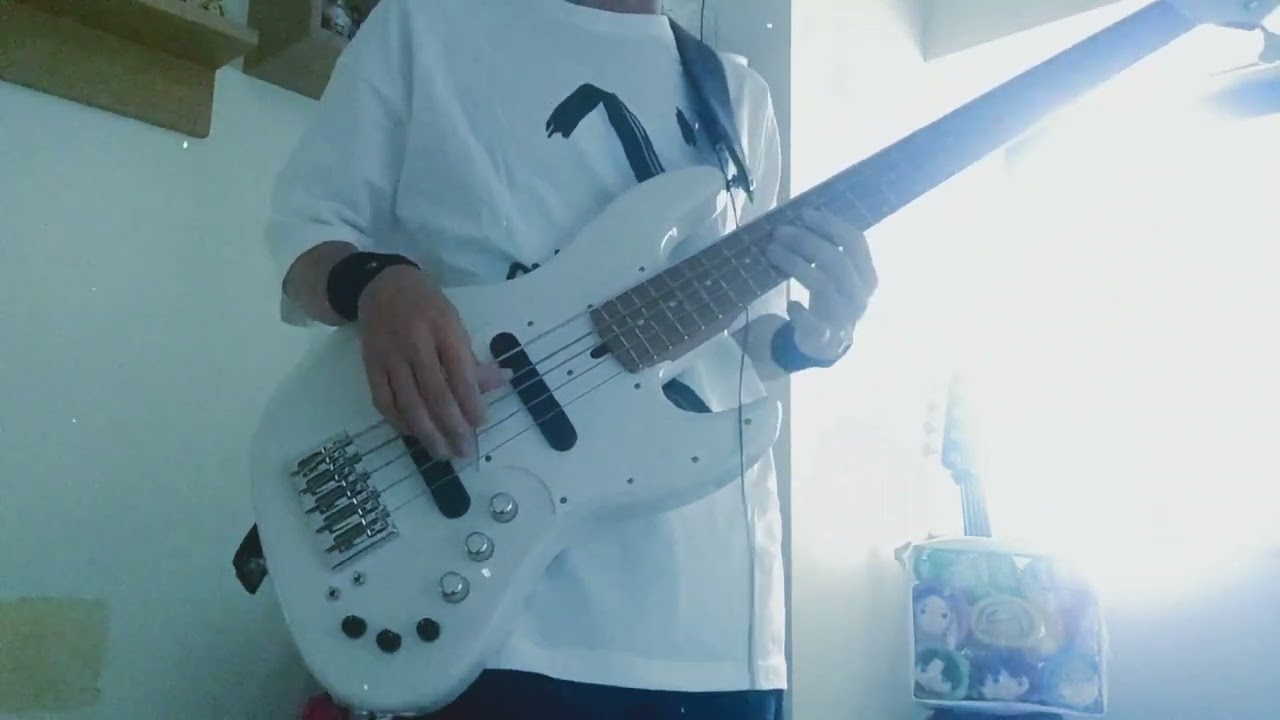 トゲナシトゲアリ/傷つき傷つけ痛くて辛い/理想的パラドクスとは/ベース弾いてみた