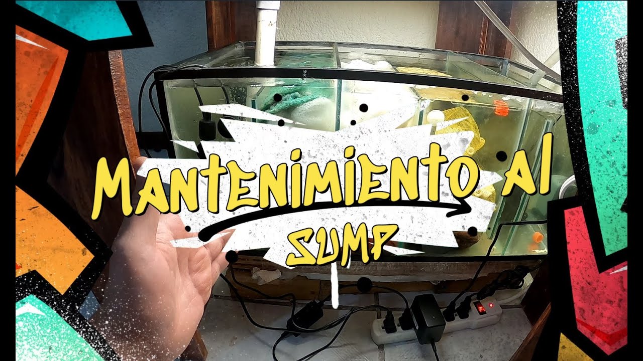 MANTENIMIENTO AL SUMP   NOWELLSON