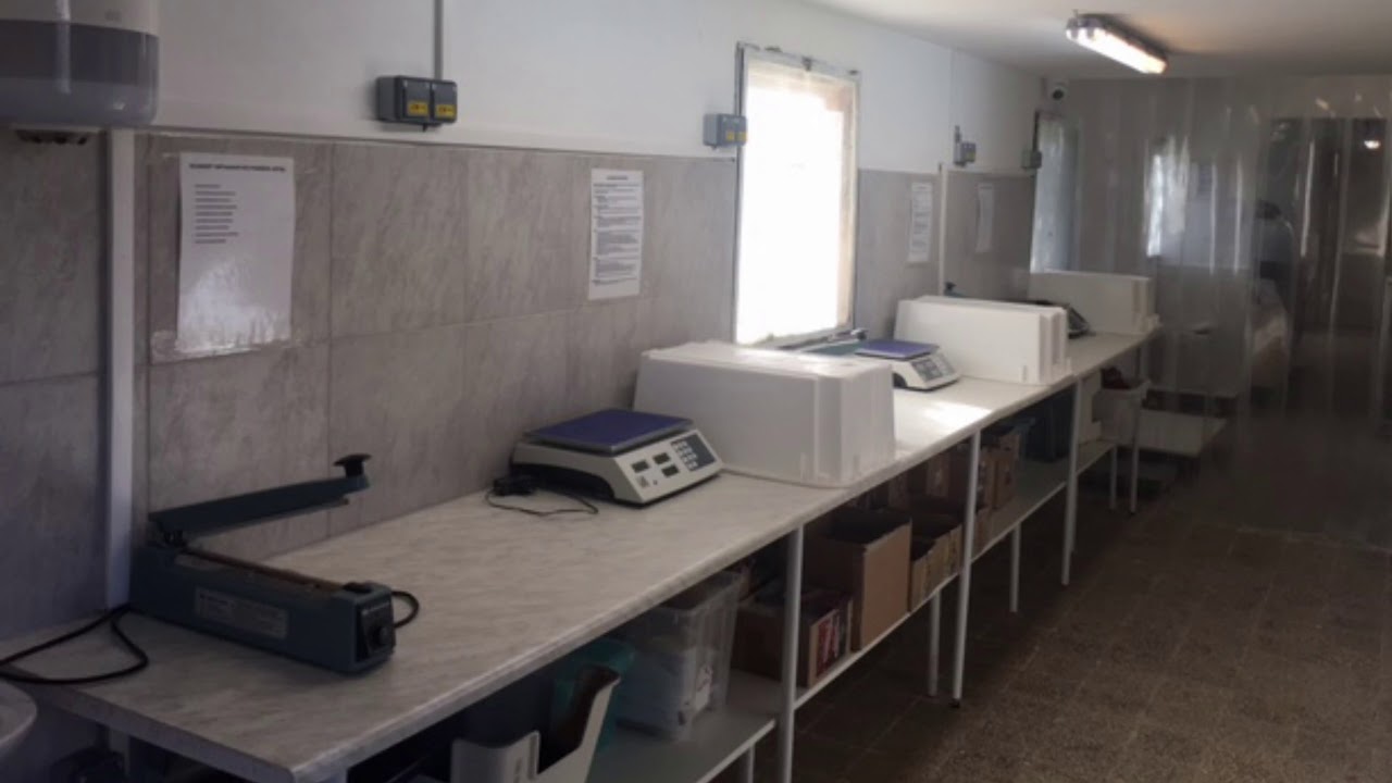 Szafi Free &eacute;s Szafi Reform &eacute;lelmiszer&uuml;zem
