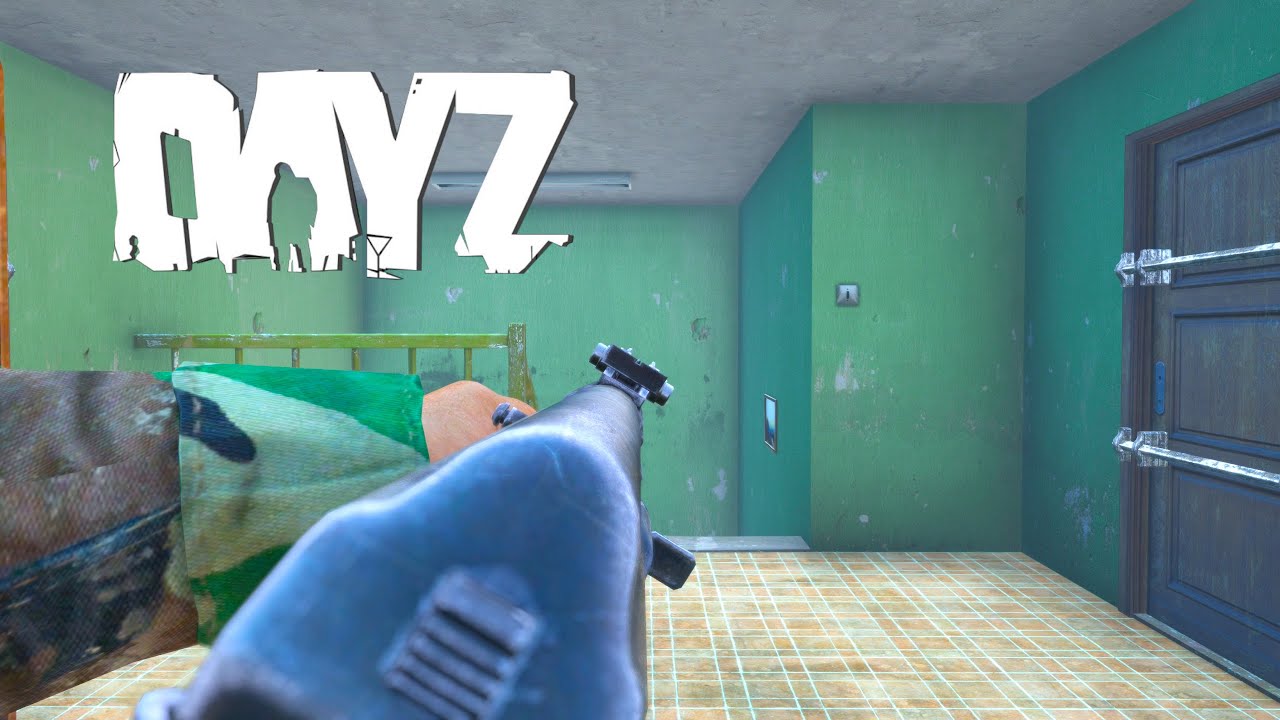 DayZ Official PvP Moments 