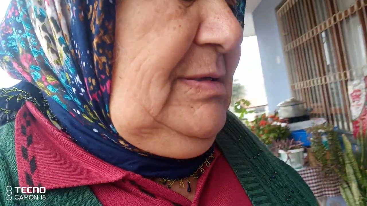 Kedileri besliyorum  çiçekleriminkisin hâli beni beğenirseniz abone olursanız sevinirim layk atın lü