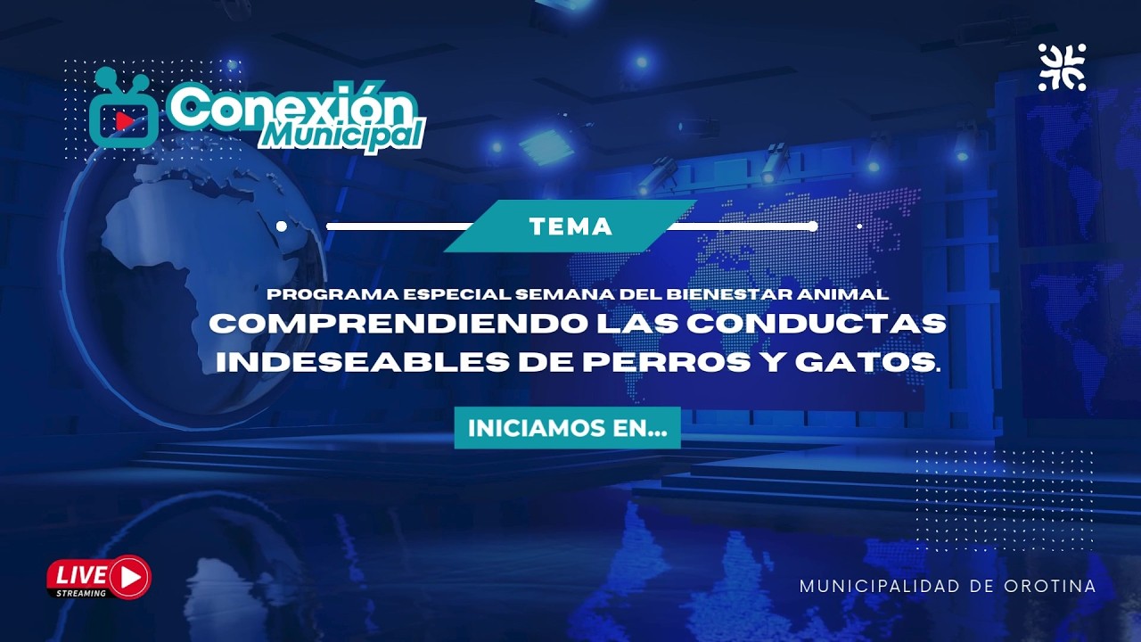Comprendiendo las conductas indeseables de perros y gatos.