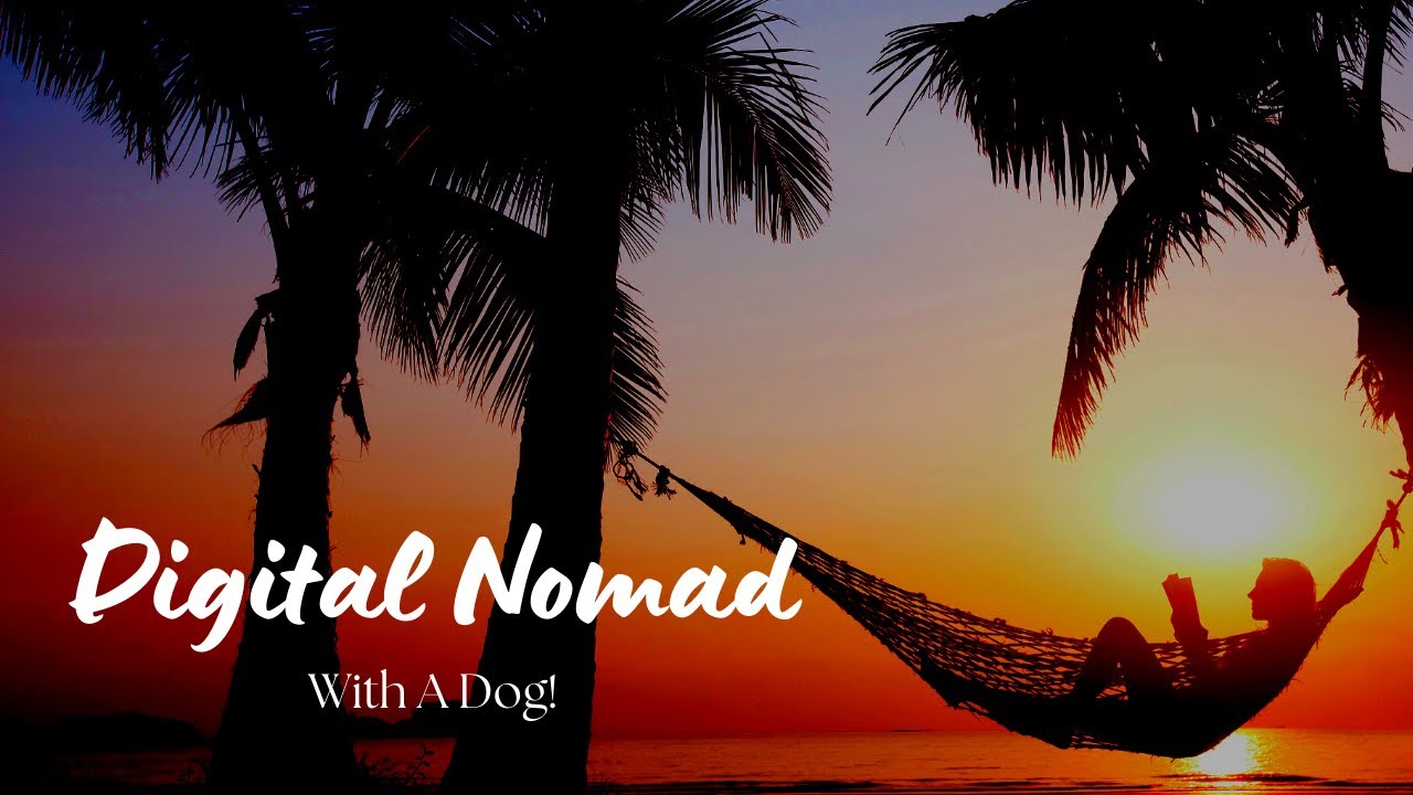 How To Be A Digital Nomad With A Dog
